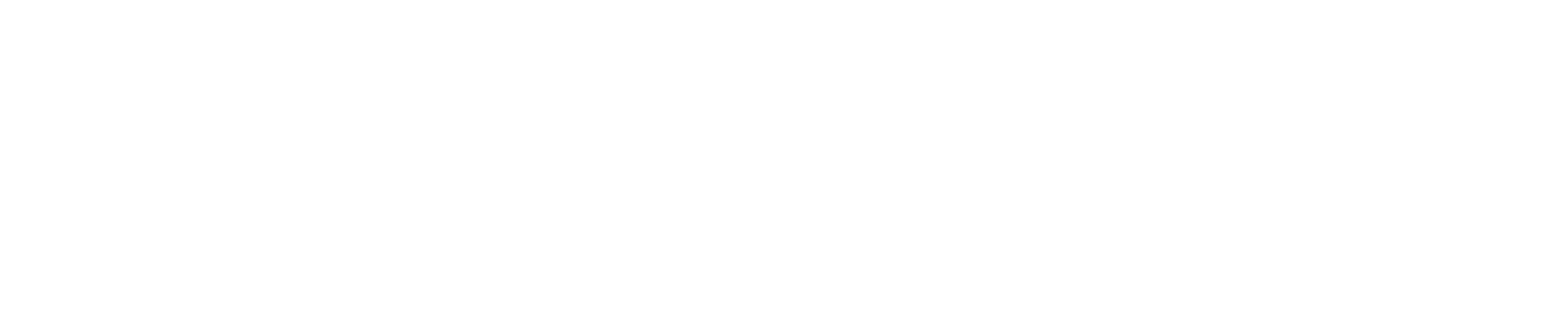 logo skysense back